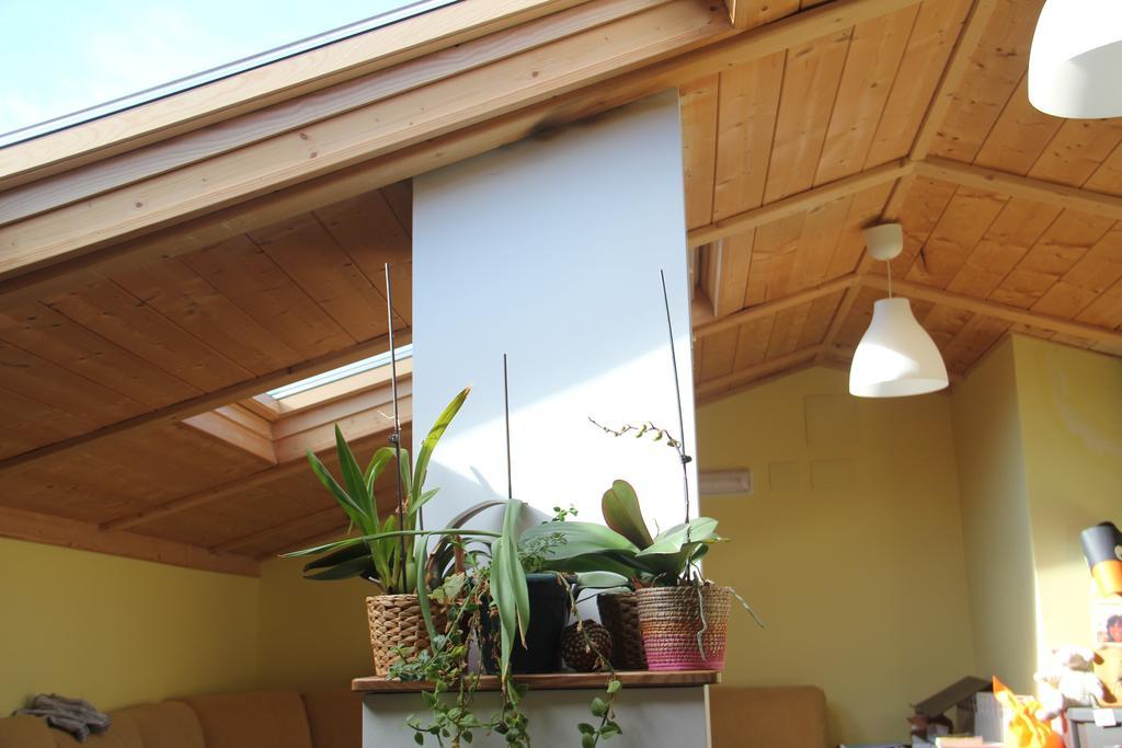 Hostel Curavacas Triollo Exteriér fotografie